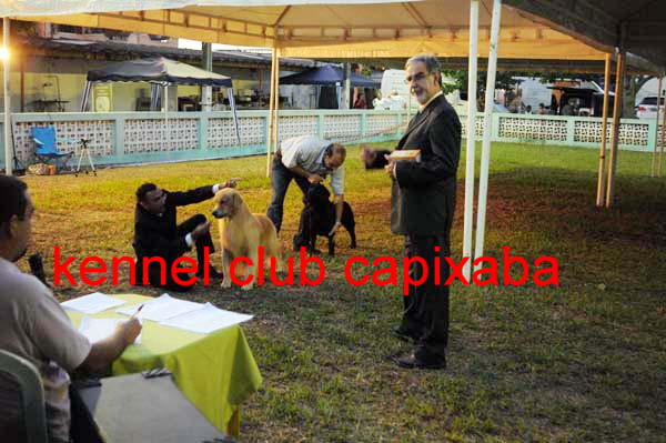 Clique sobre a foto para fechar